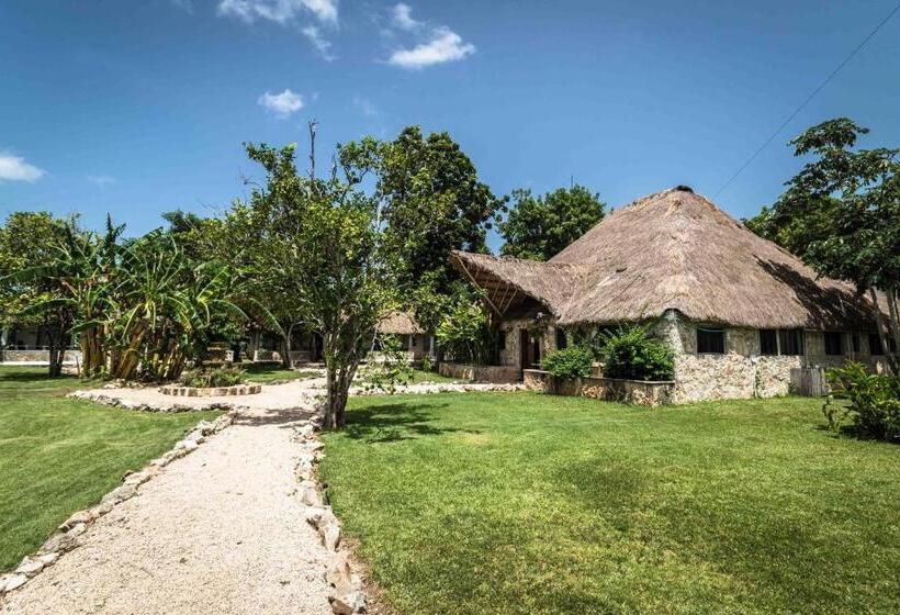 فندق Reserva Nativa