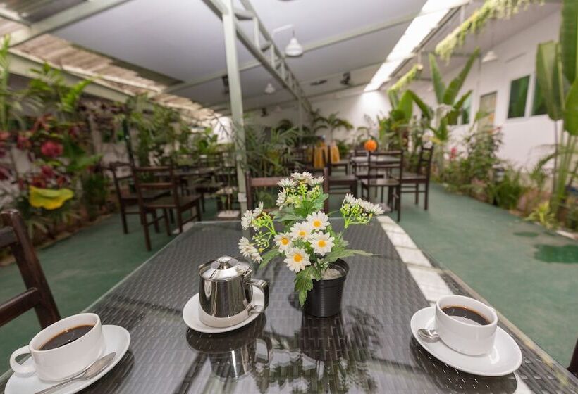 هتل Sky View Bed & Breakfast