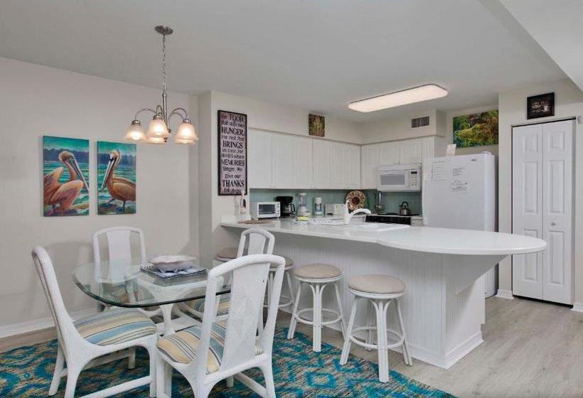 Island Princess 707 Grouper Therapy