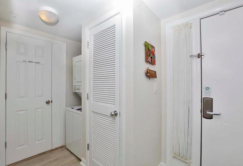 Island Princess 707 Grouper Therapy