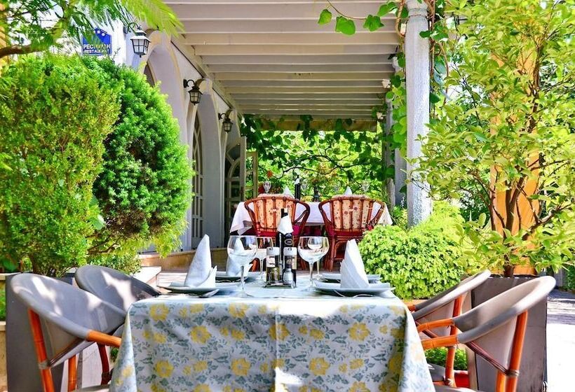 Villa Velzon Guesthouse