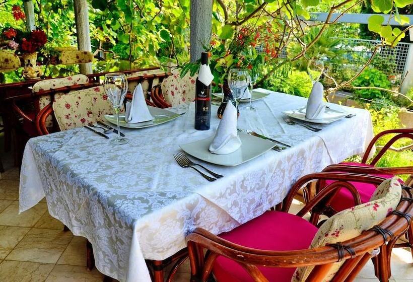 Villa Velzon Guesthouse