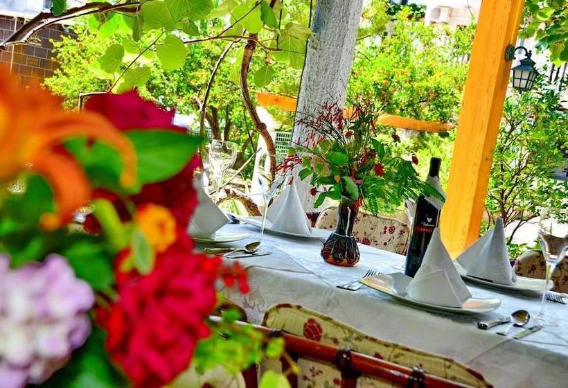 Villa Velzon Guesthouse