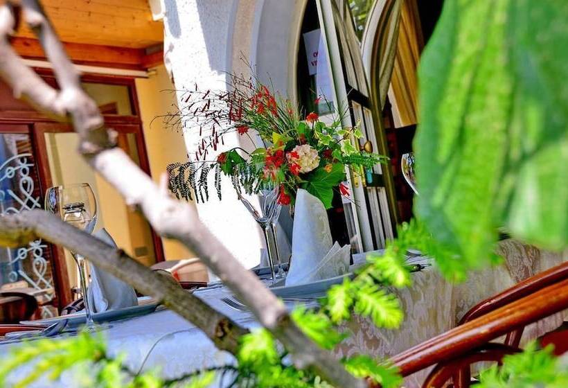 Villa Velzon Guesthouse