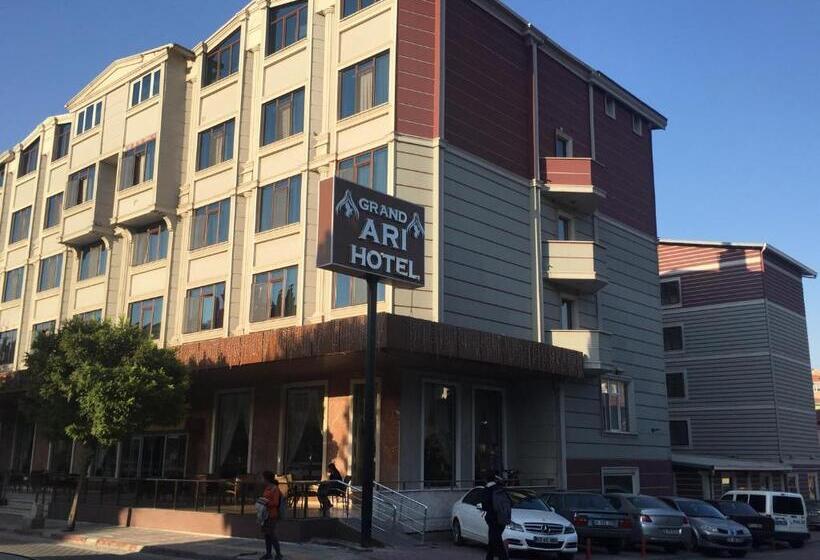 Отель Afyon Grand Ari