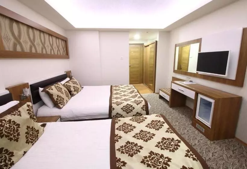 ホテル Afyon Grand Ari
