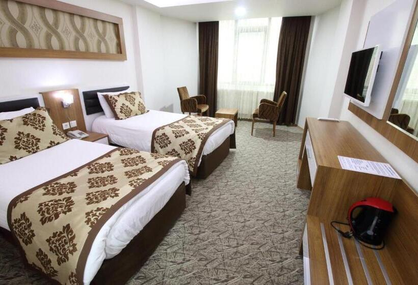 Отель Afyon Grand Ari