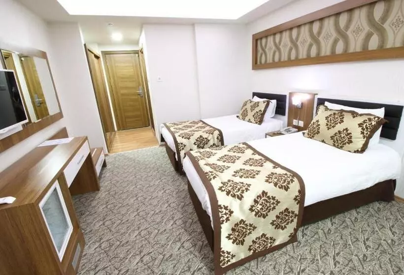 ホテル Afyon Grand Ari