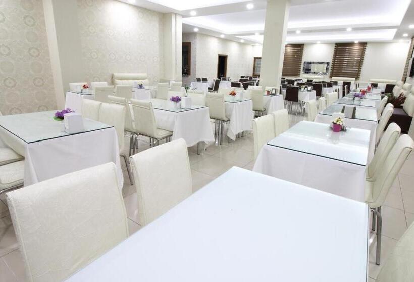 Отель Afyon Grand Ari