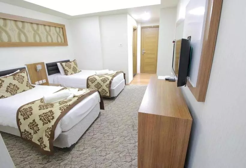 ホテル Afyon Grand Ari