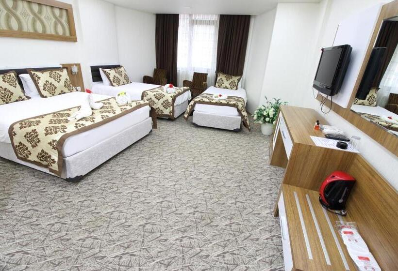Отель Afyon Grand Ari