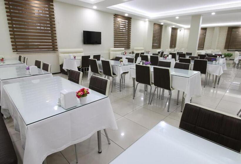 Отель Afyon Grand Ari