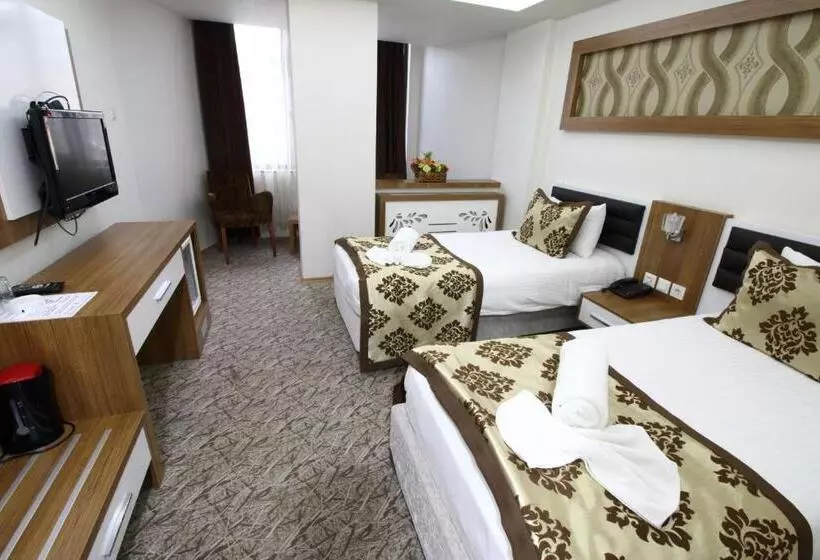 ホテル Afyon Grand Ari