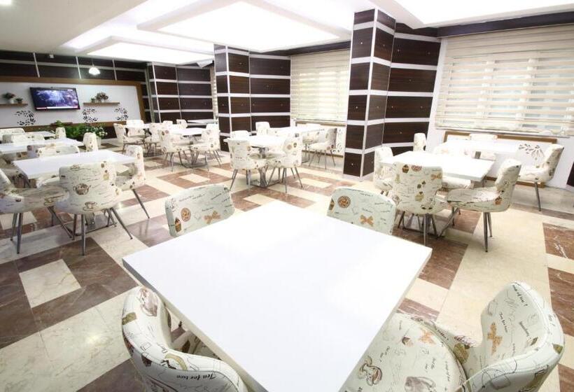 Отель Afyon Grand Ari