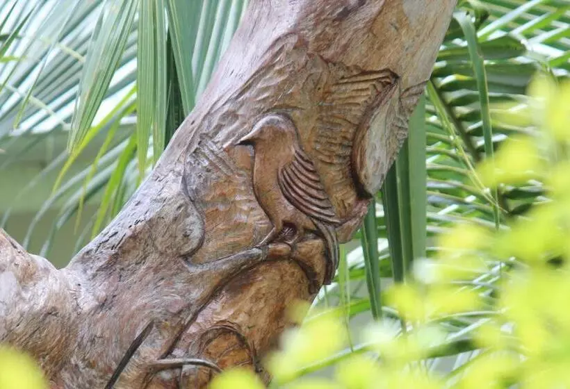 هتل Villa Veuve Casadani