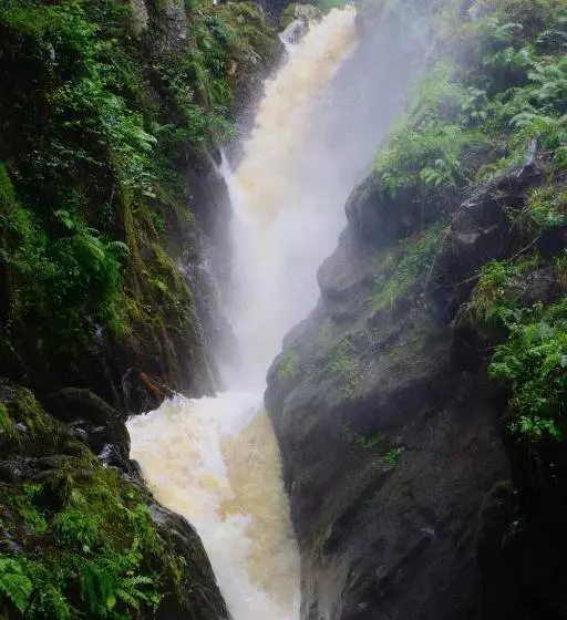 Retkeilymaja Alston House