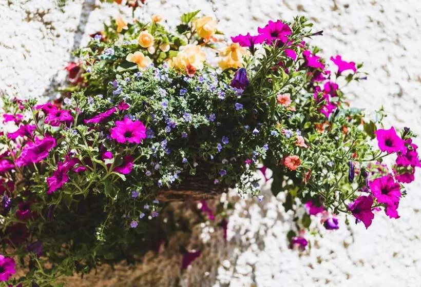 Retkeilymaja Alston House