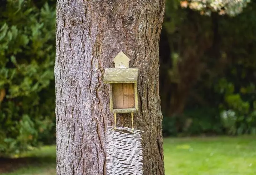 Retkeilymaja Alston House