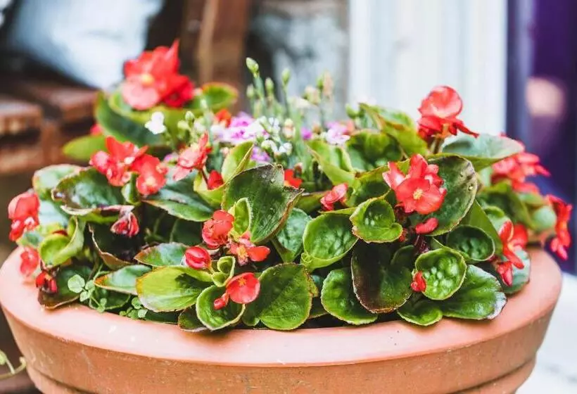 Retkeilymaja Alston House