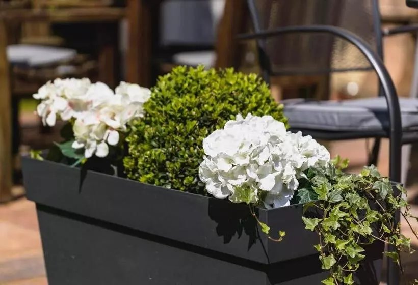 Retkeilymaja Alston House