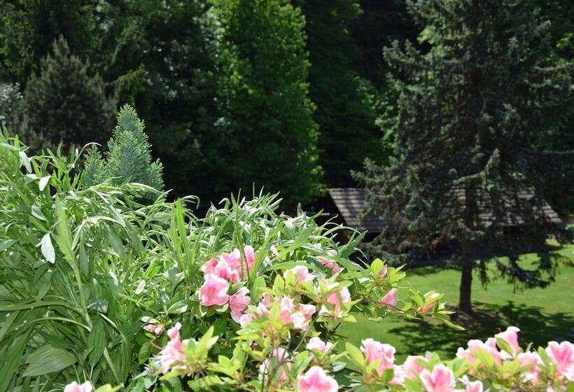 Garni Villa Siesta Park