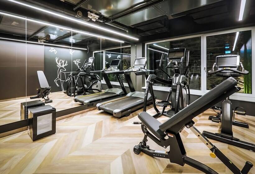 Отель 24 By Avenida   Mountain