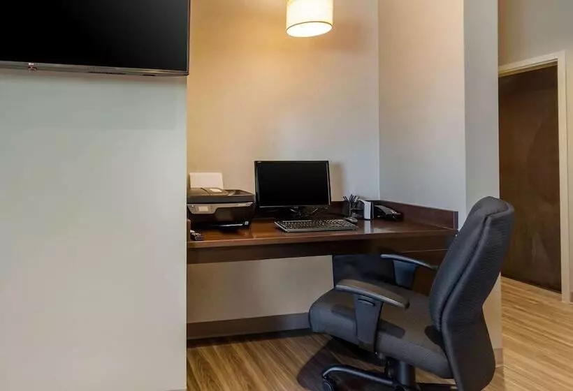ホテル Sleep Inn & Suites Tampa South