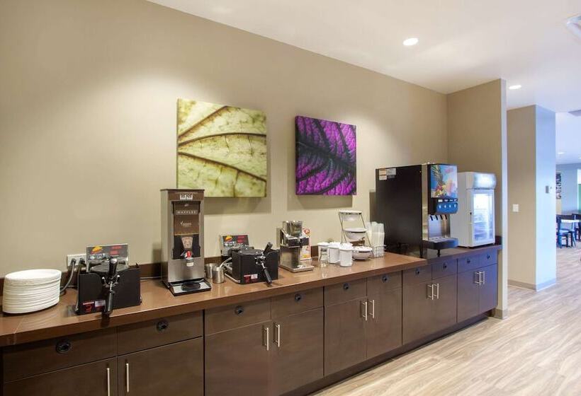 فندق Sleep Inn & Suites Tampa South