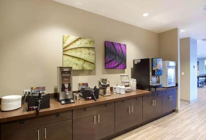 ホテル Sleep Inn & Suites Tampa South