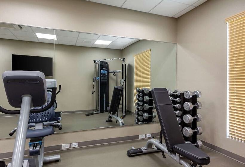 فندق Sleep Inn & Suites Tampa South