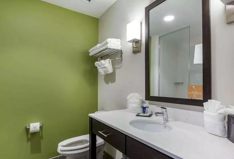 ホテル Sleep Inn & Suites Tampa South