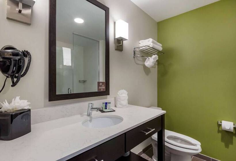 فندق Sleep Inn & Suites Tampa South