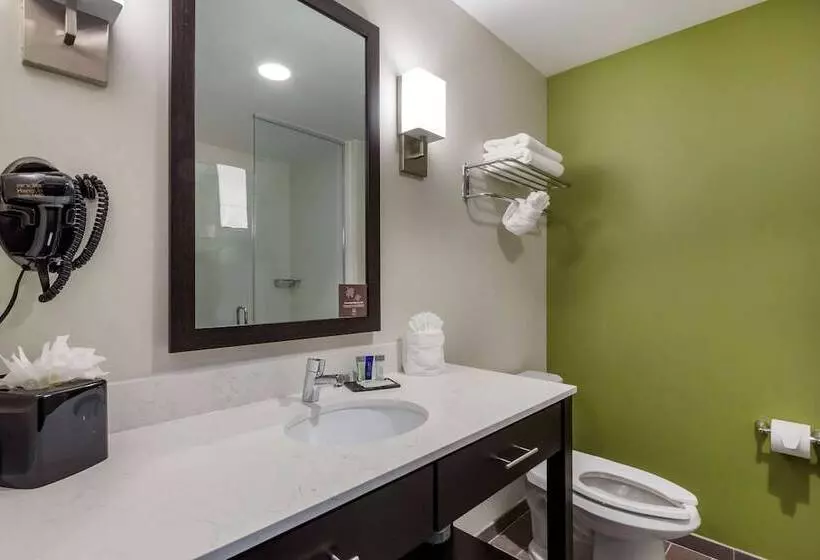ホテル Sleep Inn & Suites Tampa South