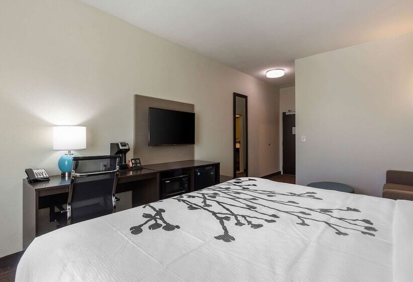 فندق Sleep Inn & Suites Tampa South