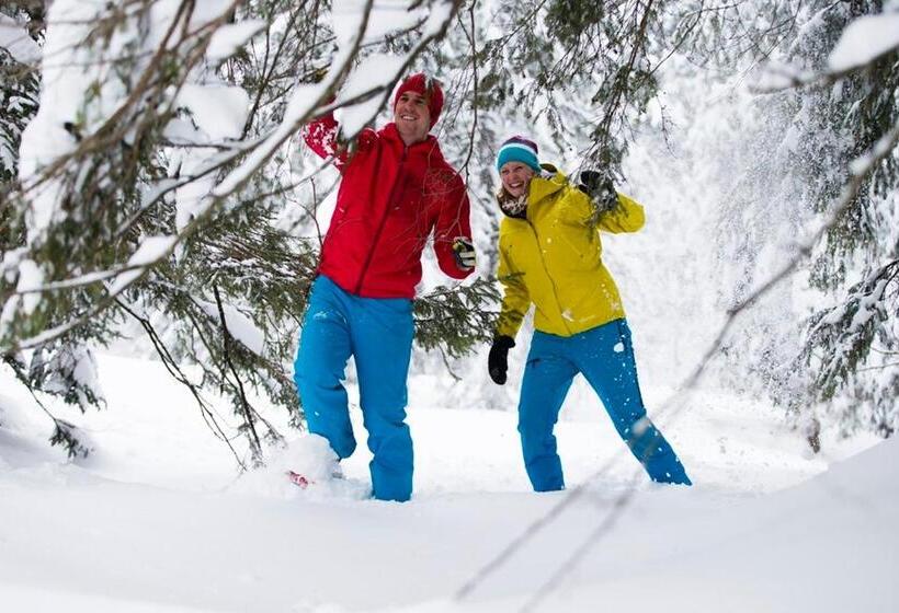 膳宿费 Alpengasthof Hörnlepass