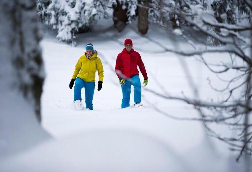 膳宿费 Alpengasthof Hörnlepass