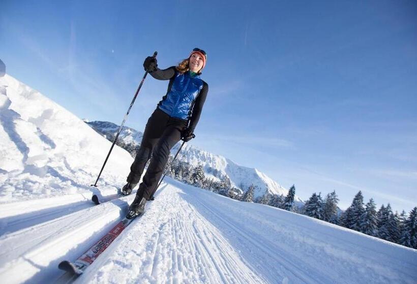 膳宿费 Alpengasthof Hörnlepass