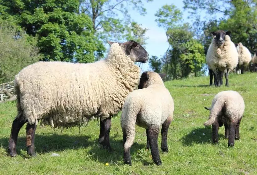 ペンション Ard Na Breatha Guesthouse