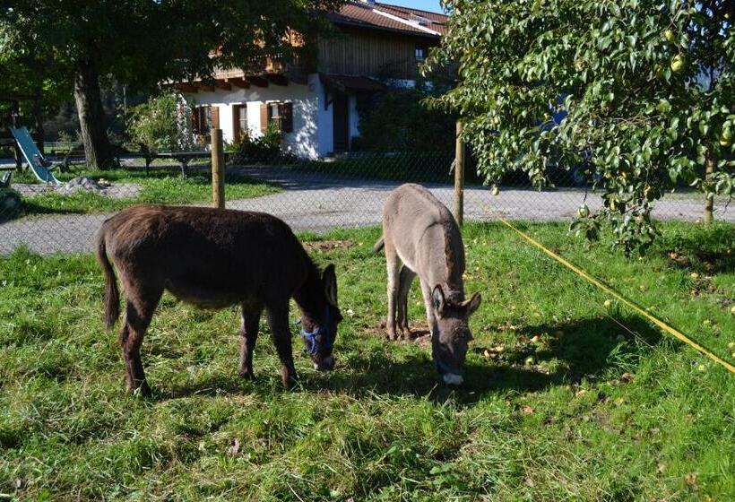 Пансион Niederauer Hof