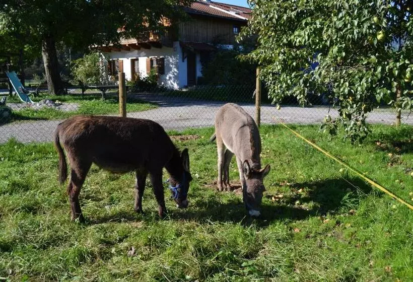 Majatalo Niederauer Hof