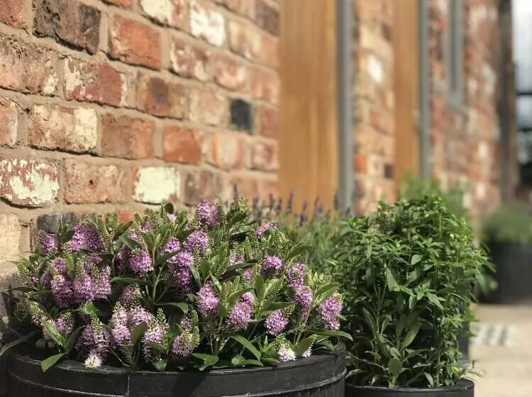 Majatalo Rylands Farmhouse