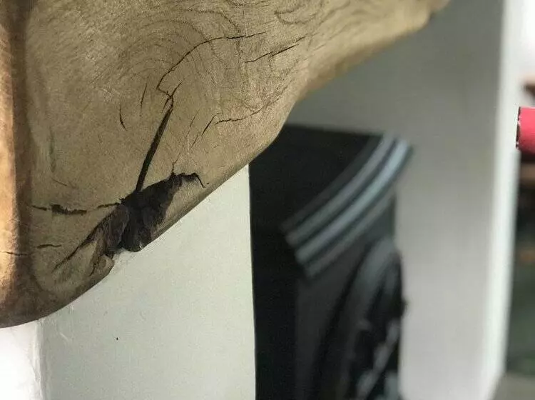 Majatalo Rylands Farmhouse