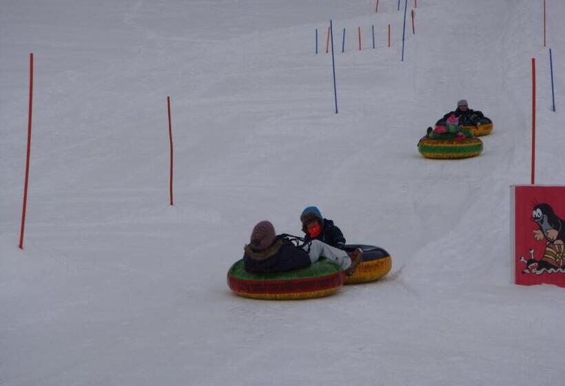 펜션 Villa Betula Resort & Camping