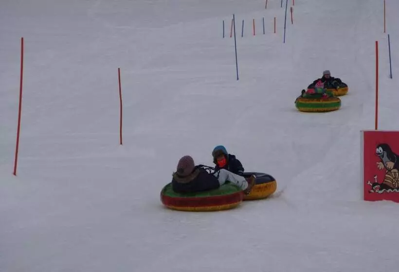 Majatalo Villa Betula Resort & Camping