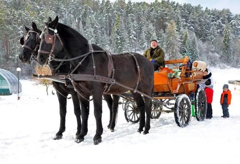 Majatalo Villa Betula Resort & Camping