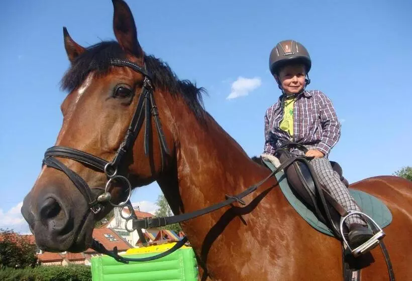 Majatalo Villa Betula Resort & Camping