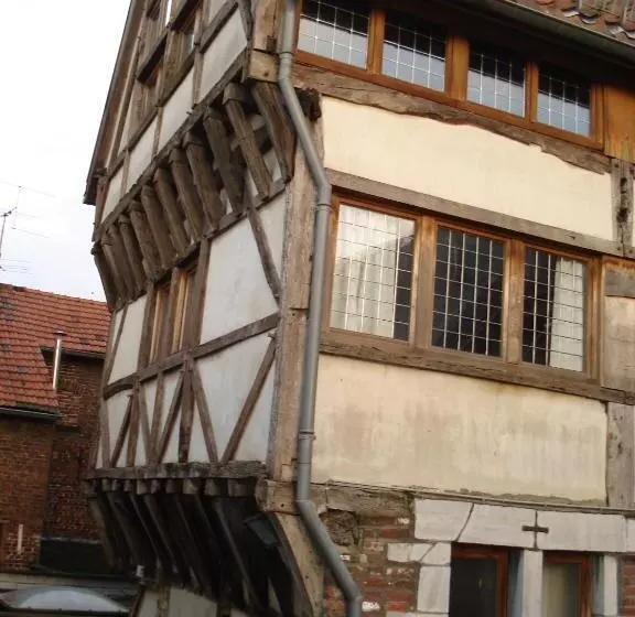 Aparthotel De Beek Anno 1410
