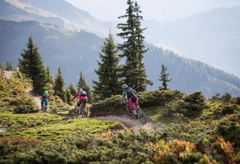 Apartmenthaus Gotthardt