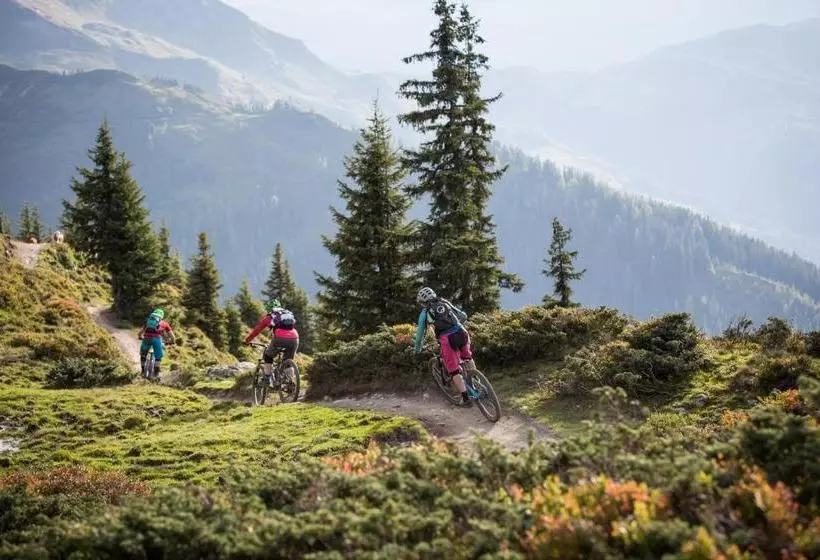 Apartmenthaus Gotthardt