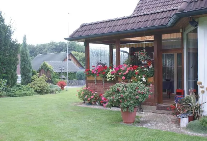 پانسیون Amselhof